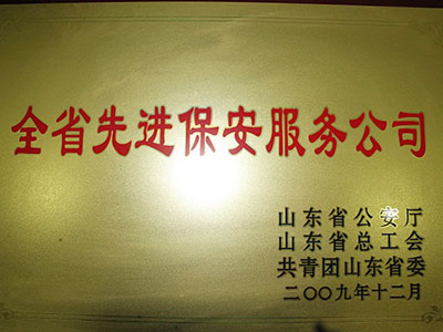 2009年全省先進保安服務公司